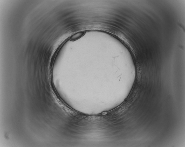 X0000100761088200807171336