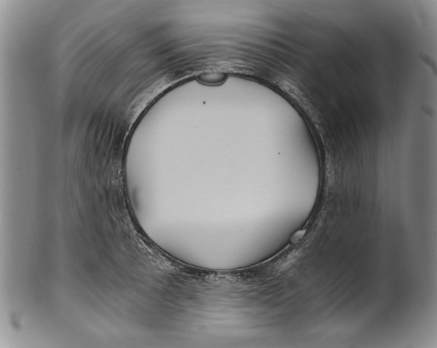 X0000100761089200807171336