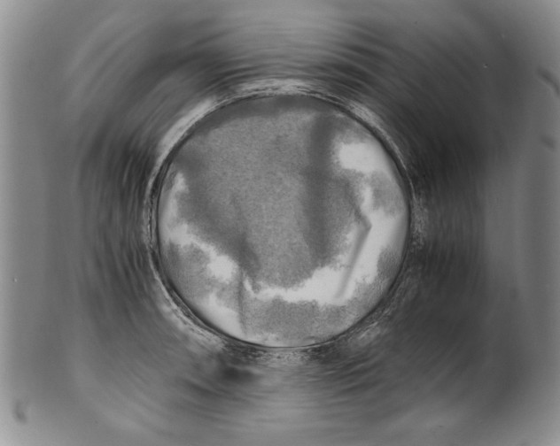 X0000100761090200807171336