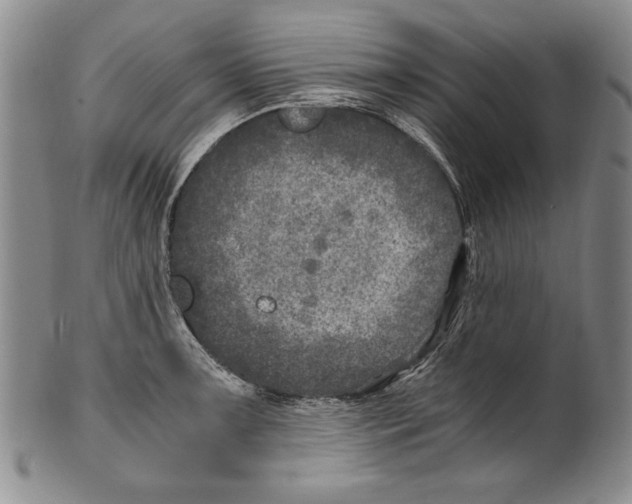 X0000100761091200807171336