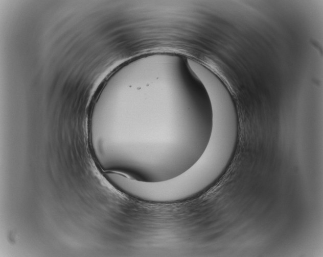 X0000100761092200807171336