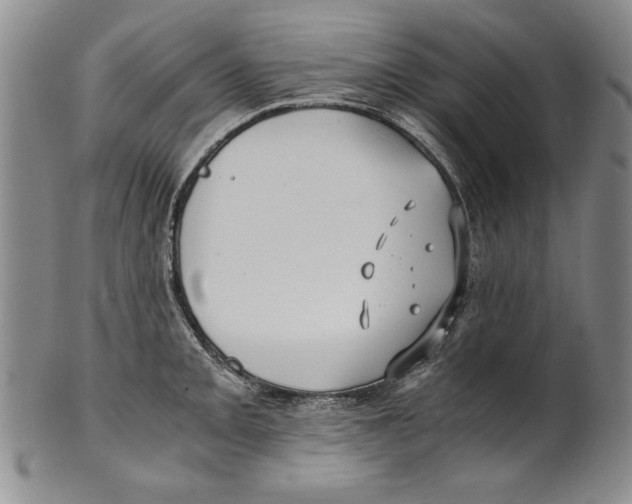X0000100761093200807171336