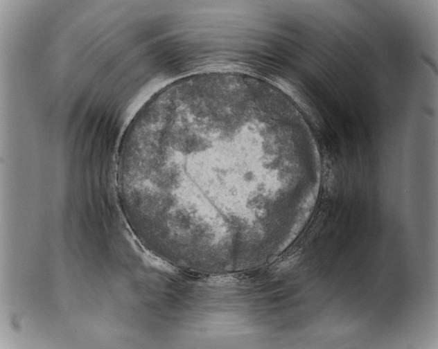 X0000100761094200807171336