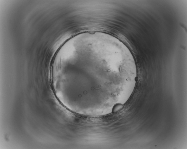 X0000100761095200807171336