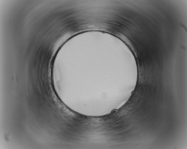 X0000100761096200807171336