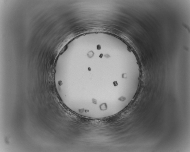 X0000100761097200807171336