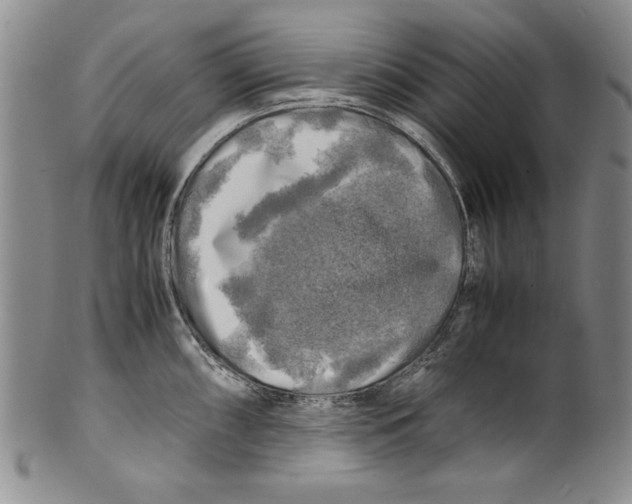 X0000100761098200807171336