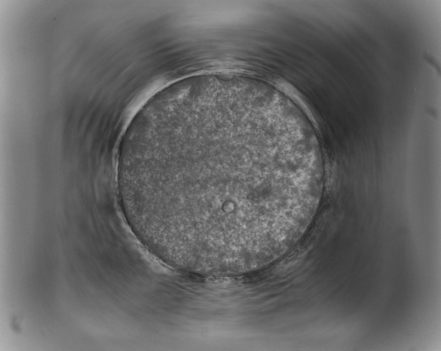 X0000100761099200807171336