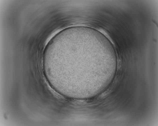 X0000100761101200807171336