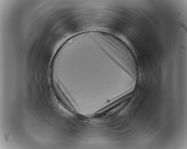 X0000100761102200807171336