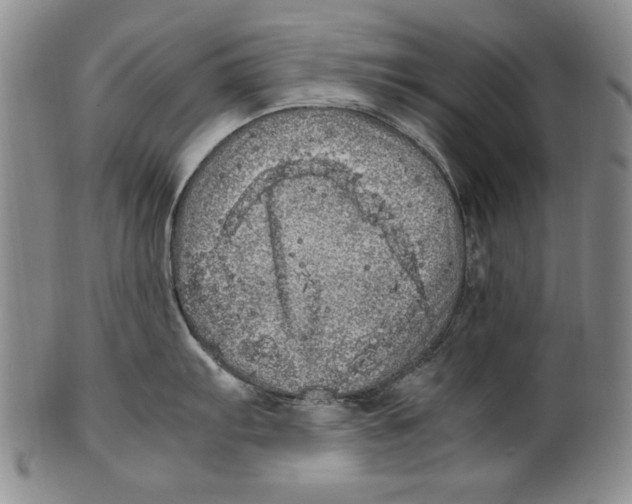 X0000100761103200807171336