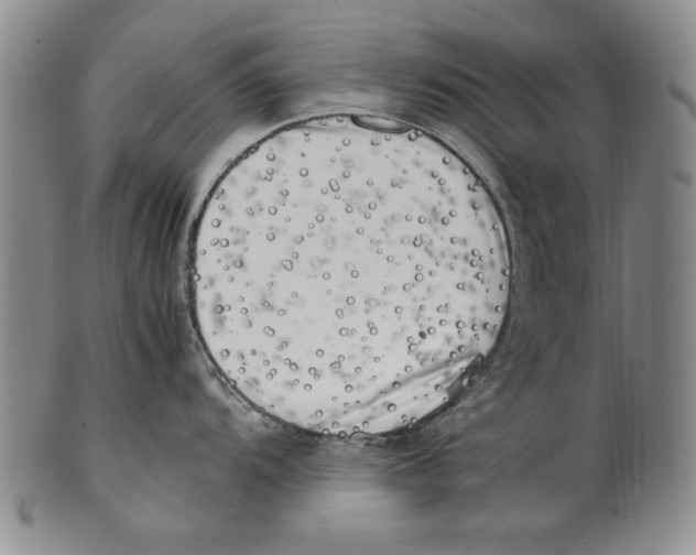 X0000100761104200807171336