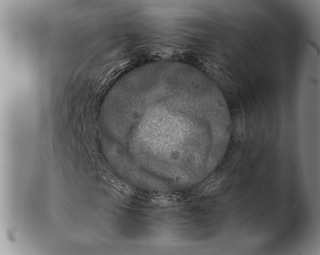 X0000100761105200807171335