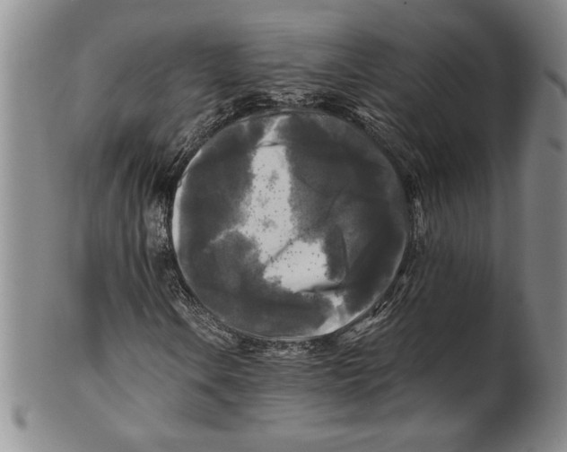 X0000100761106200807171335