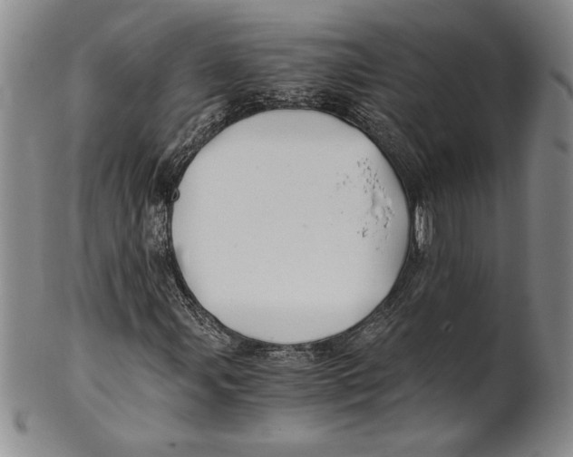 X0000100761107200807171335