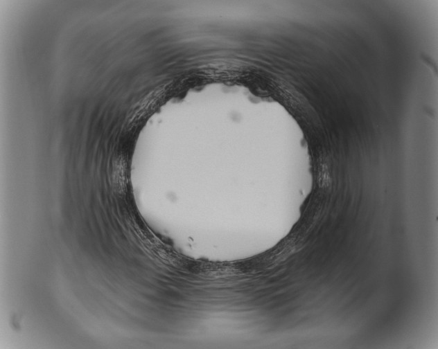 X0000100761108200807171335