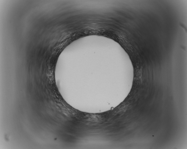 X0000100761109200807171335