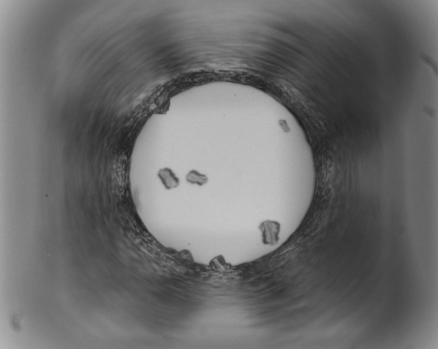 X0000100761110200807171335