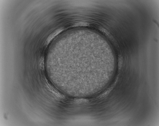 X0000100761113200807171335