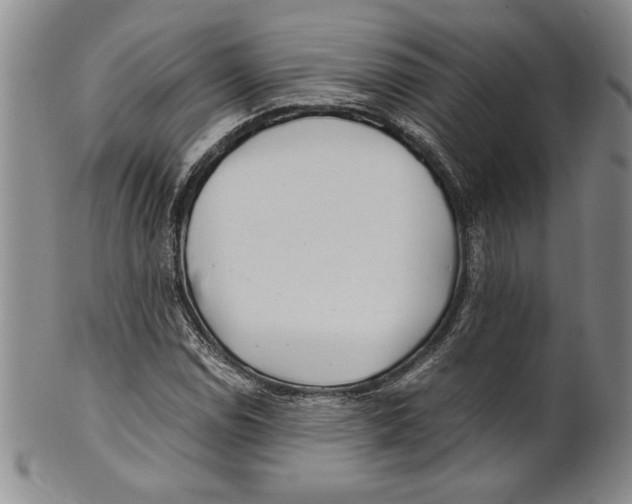 X0000100761114200807171335