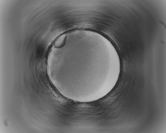 X0000100761115200807171335