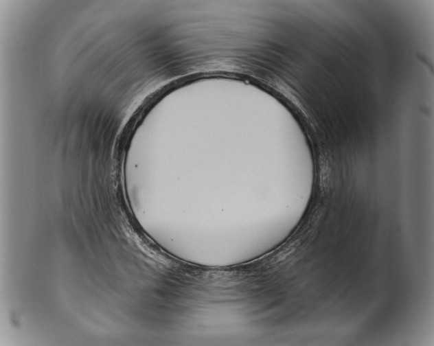 X0000100761116200807171335