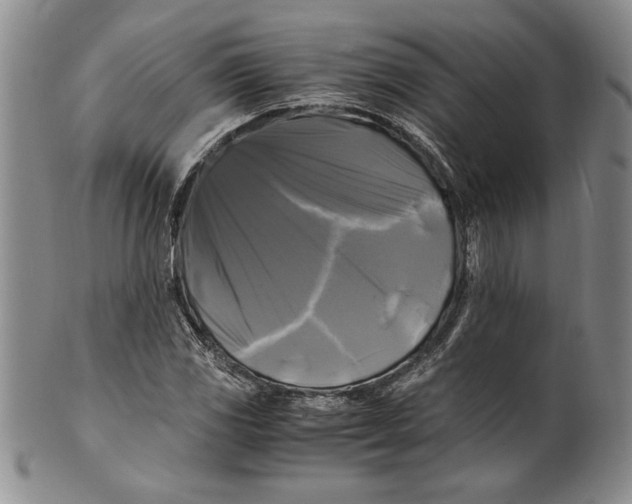 X0000100761117200807171335