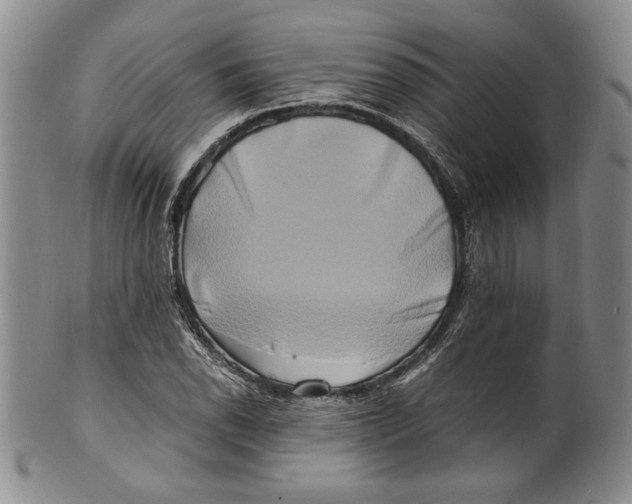X0000100761118200807171335