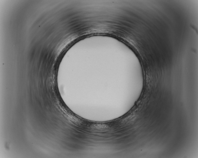 X0000100761119200807171335