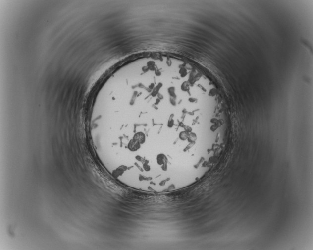 X0000100761120200807171335