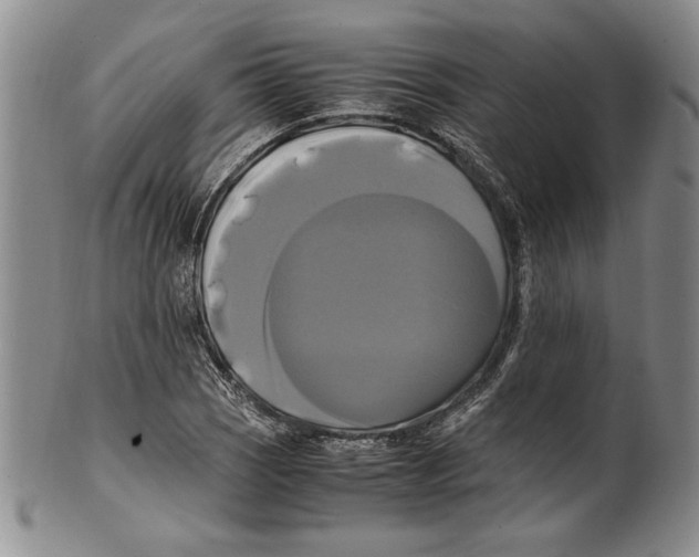 X0000100761121200807171335