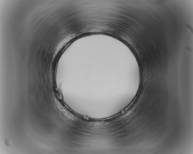 X0000100761122200807171335