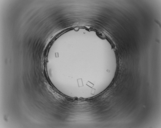 X0000100761124200807171335