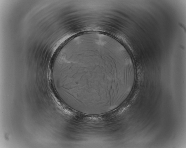 X0000100761125200807171335