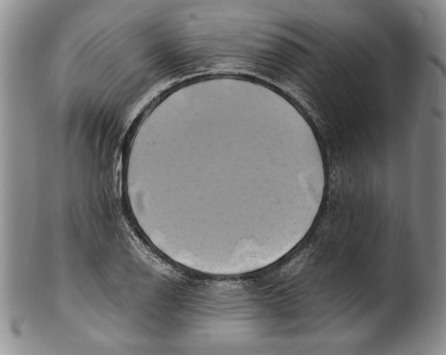 X0000100761126200807171335