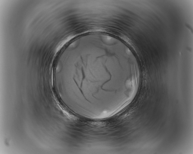 X0000100761127200807171335
