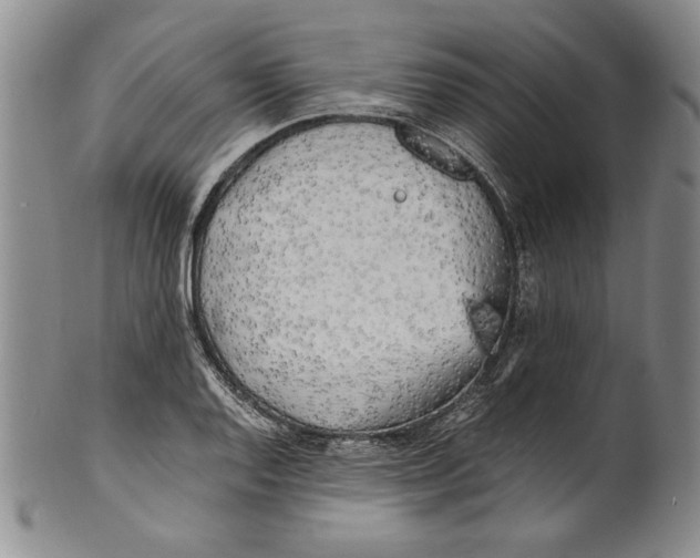 X0000100761128200807171335