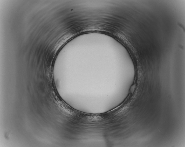 X0000100761129200807171335
