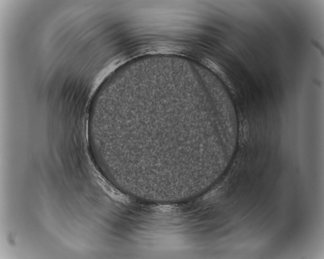 X0000100761130200807171335