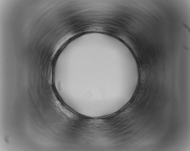X0000100761131200807171335