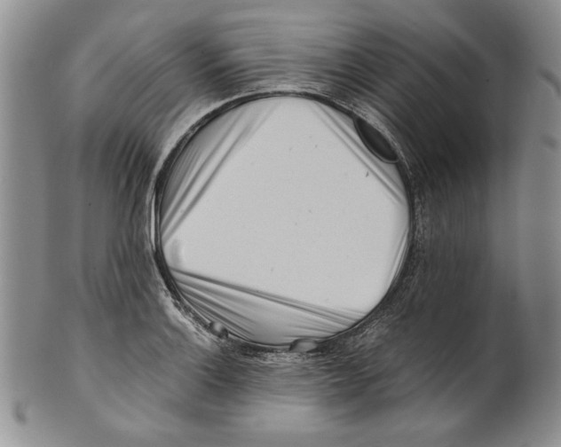 X0000100761132200807171335