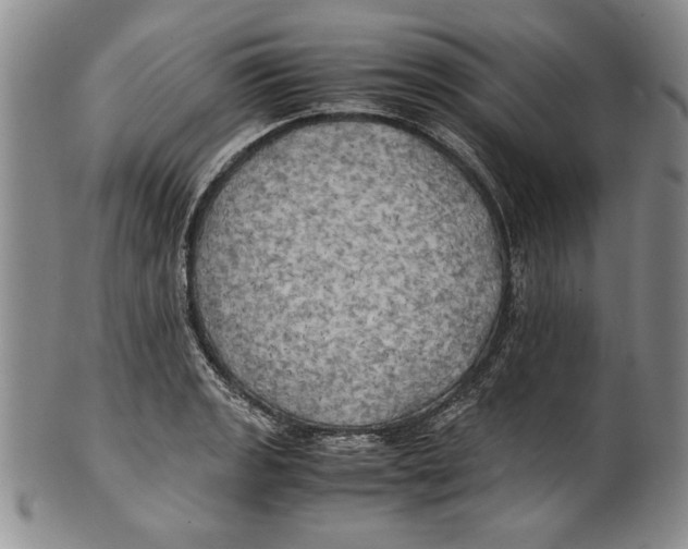 X0000100761133200807171335