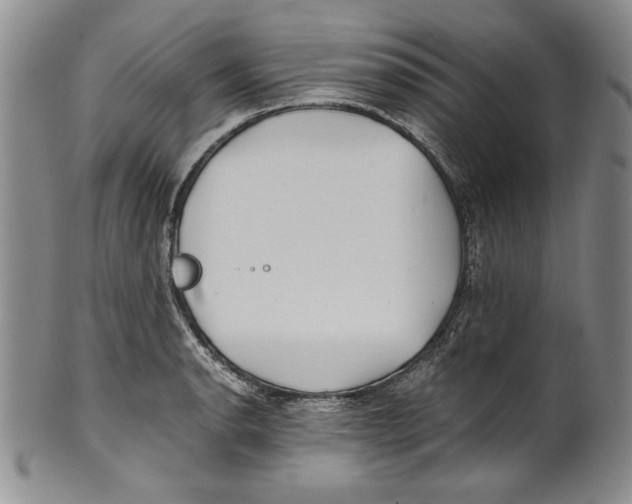 X0000100761134200807171335