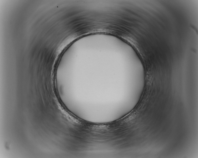 X0000100761135200807171335