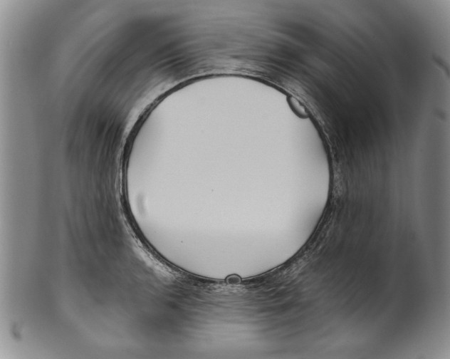 X0000100761136200807171336