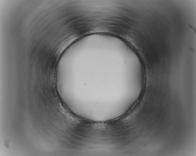X0000100761137200807171336