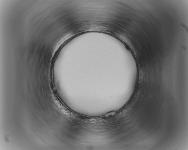 X0000100761138200807171336