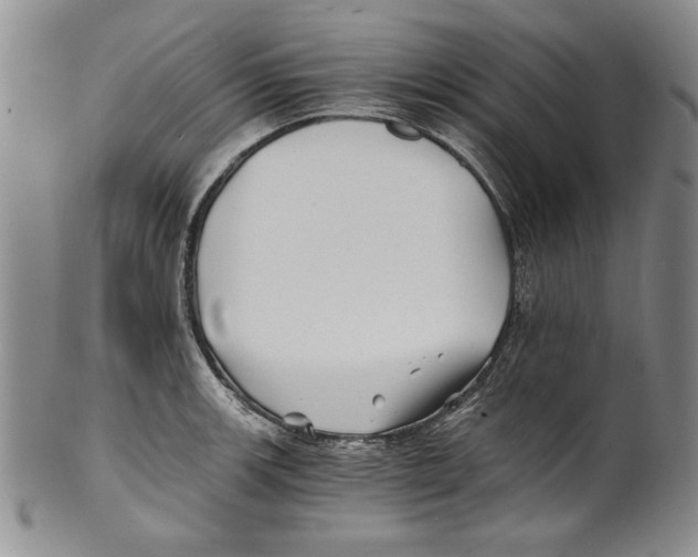 X0000100761139200807171336
