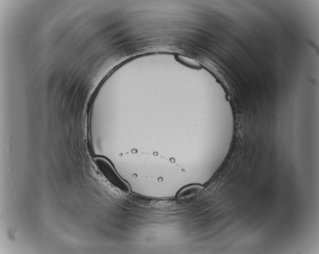 X0000100761140200807171336