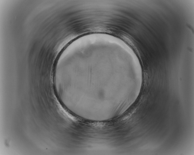 X0000100761141200807171336